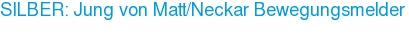 SILBER: Jung von Matt/Neckar Bewegungsmelder